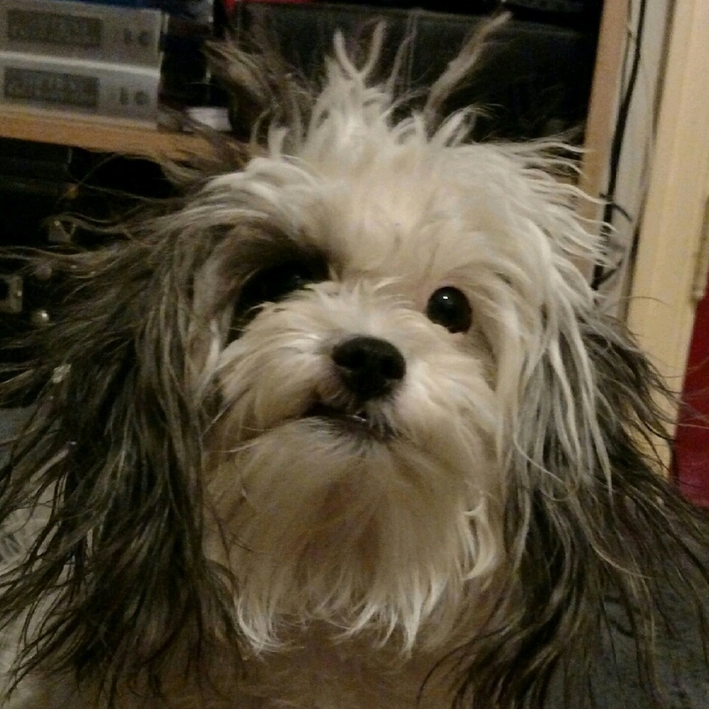 Meet your Posher, Kathleen